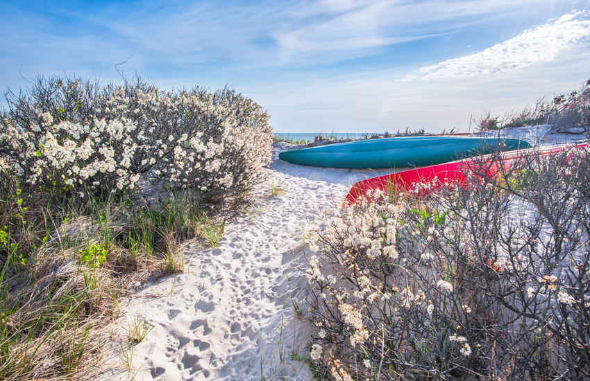 Kayak through winding channels to the beach