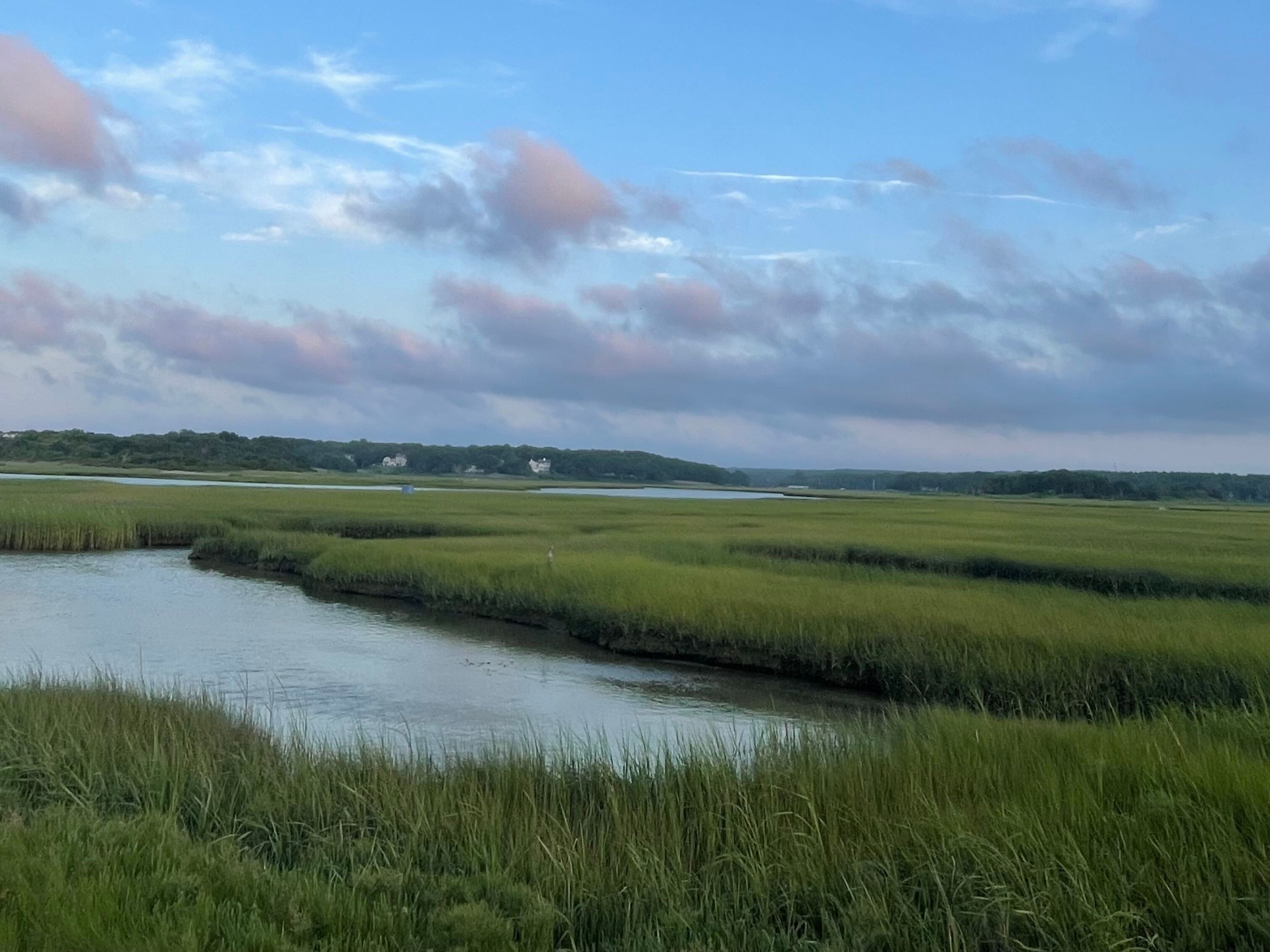 The Sandwich Boardwalk