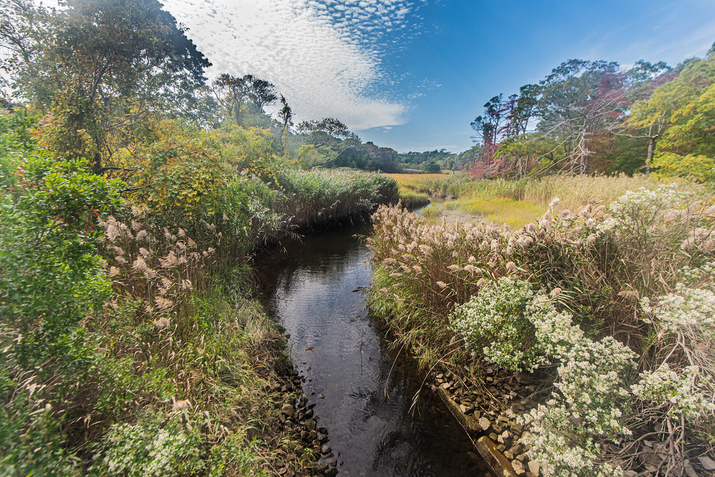 East Sandwich Game Farm